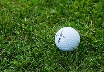 Golf Ball on Grass